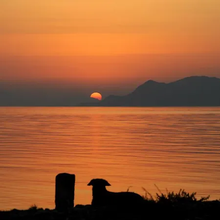 Heracles * 鲁维斯